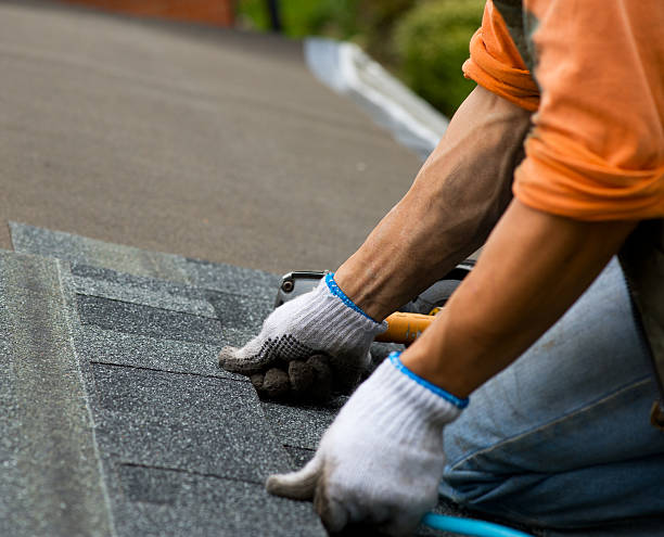 Best Roof Gutter Cleaning  in Walnutport, PA